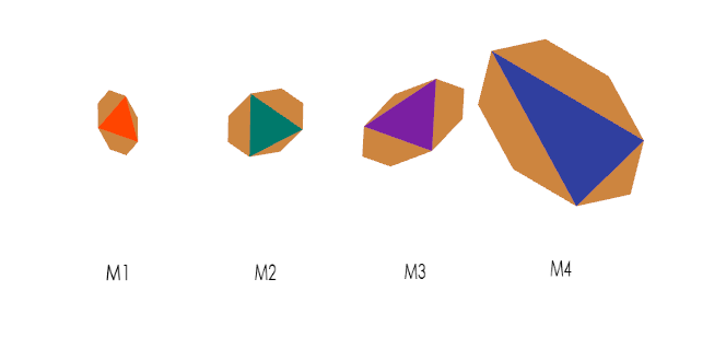 Default Display of People that Belong to Profiles M1, M2, M3 and M4 by Default